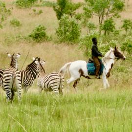 Exploring the Geography of Belonging